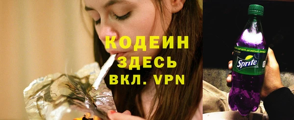 спайс Арсеньев
