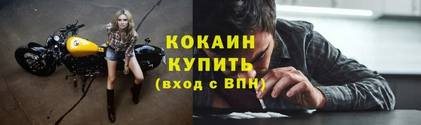 спайс Арсеньев