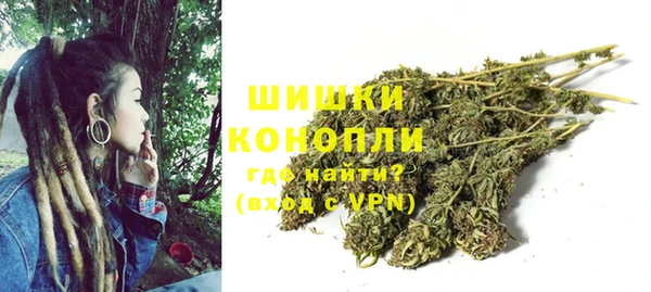 прущие грибы Осинники