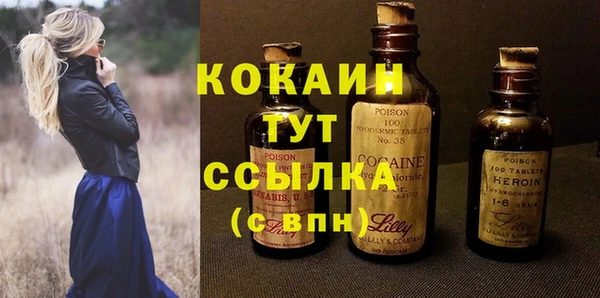 гидра Аркадак