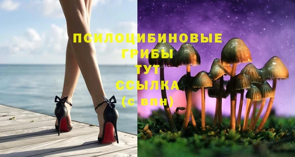 спайс Арсеньев