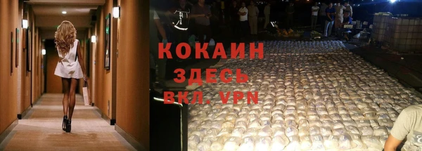 гидра Аркадак