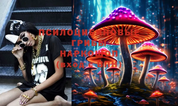 ГАЛЛЮЦИНОГЕННЫЕ ГРИБЫ Армянск